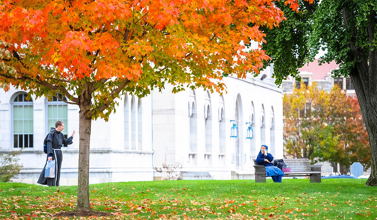 Fall foliage